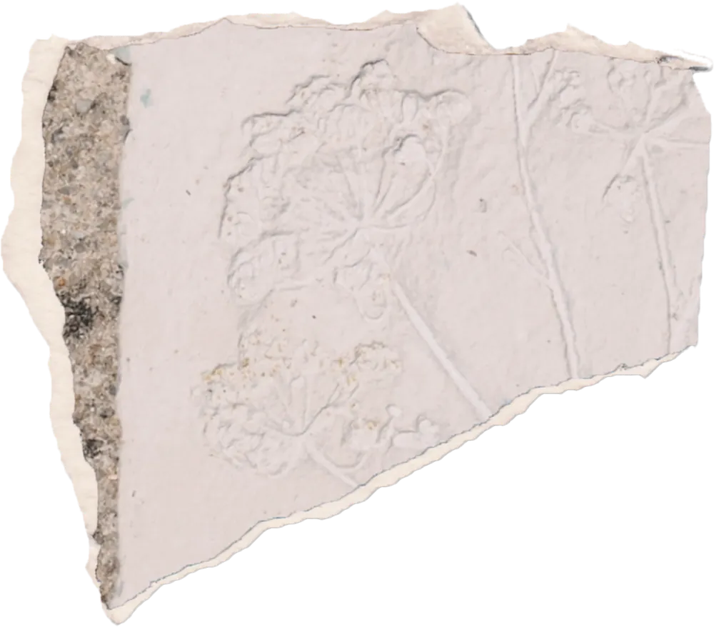 Papel con relieve botánico